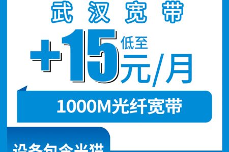 2026年7月中旬荆门广电、联通、电信、移动电话卡办理哪个最划算？