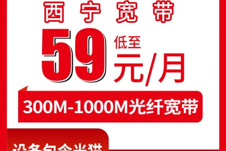 2026年7月中旬青海联通、移动、广电流量卡办理详解！