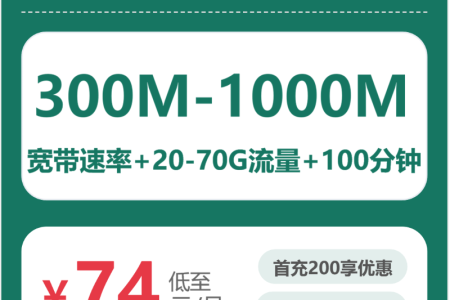 移动西安西芹卡